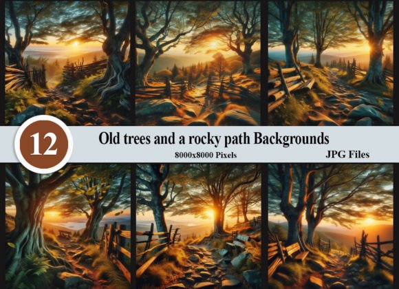 Timeless Texture: Working with Old Trees and a Rocky Path Backgrounds